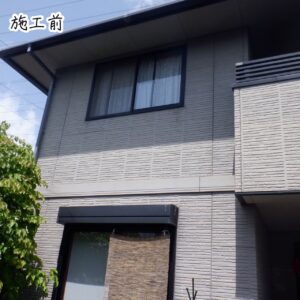 全景