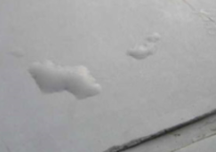 ベランダ防水　膨れ