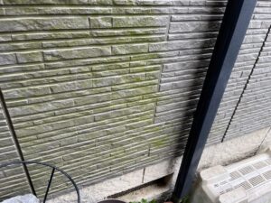 積水ハウス　苔